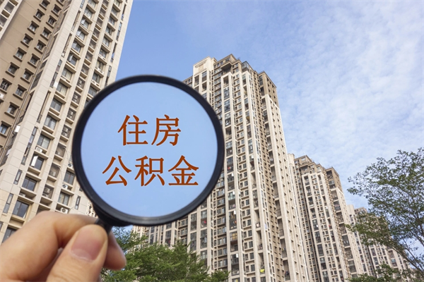 禹州离职后公司不给转公积金怎么办（离职后公司不给转社保怎么办）